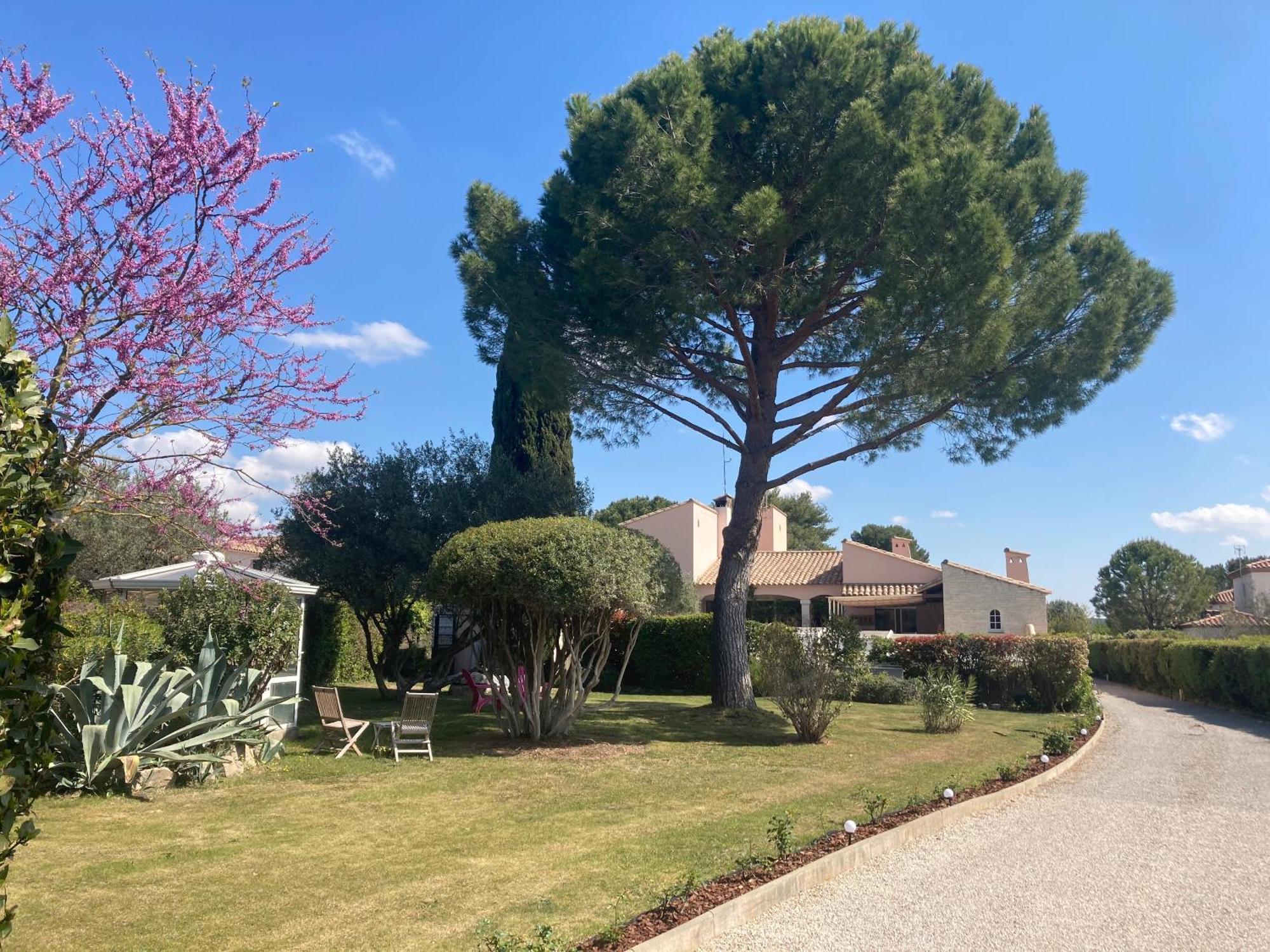 Les Bougainvillees De Camargue Villetelle 외부 사진
